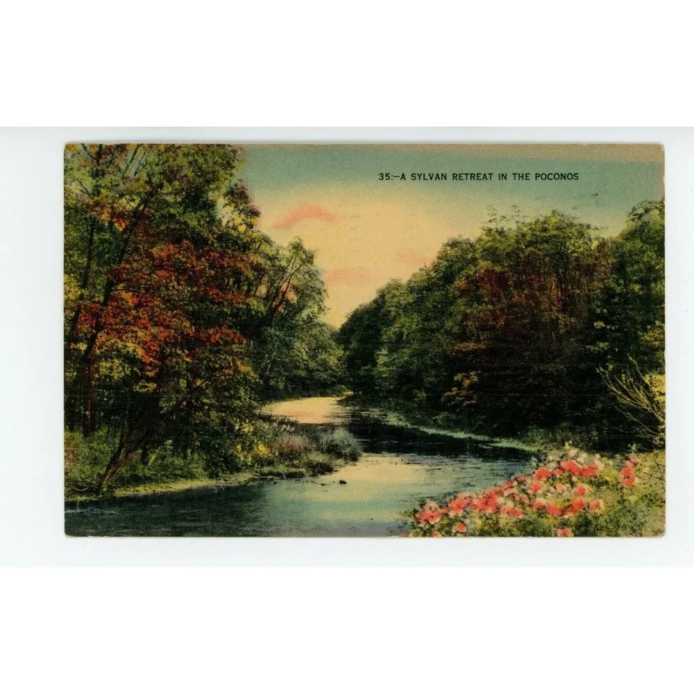 Vintage Postcard Pocono Mountains Pennsylvania USA Sylvan Retreat Posted Stamped